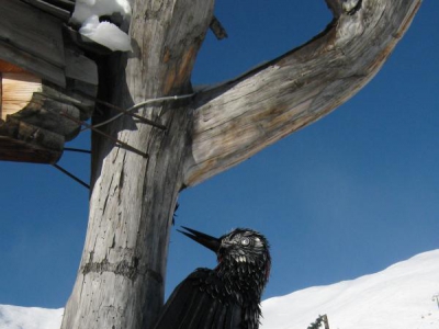 NASZE PIĘKNE DOLOMITY - zdjęcie2
