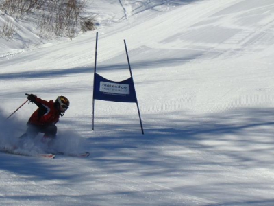 STYCZEŃ  2008  ( 15.01. - 19.01.2008) - zdjęcie1