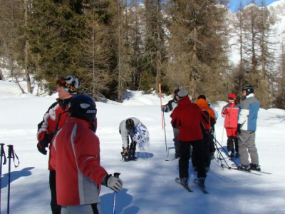 STYCZEŃ 2008  (od 19.01.  do 26.01.2008) - zdjęcie21