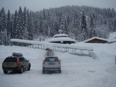 ZOBACZCIE JAK PIĘKNIE  - jest 13/12.2008 - zdjęcie9