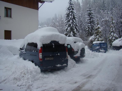 ZOBACZCIE JAK PIĘKNIE  - jest 13/12.2008 - zdjęcie8